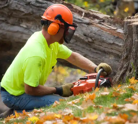 tree services Duson